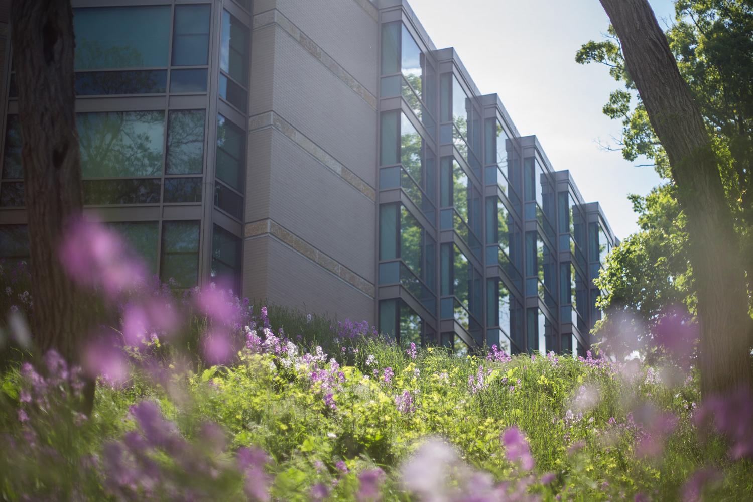 The Oaks Residential Village exterior.