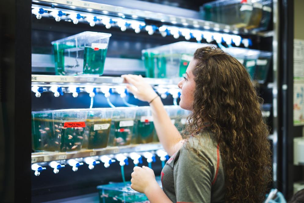 A biology lab worker in the lab.